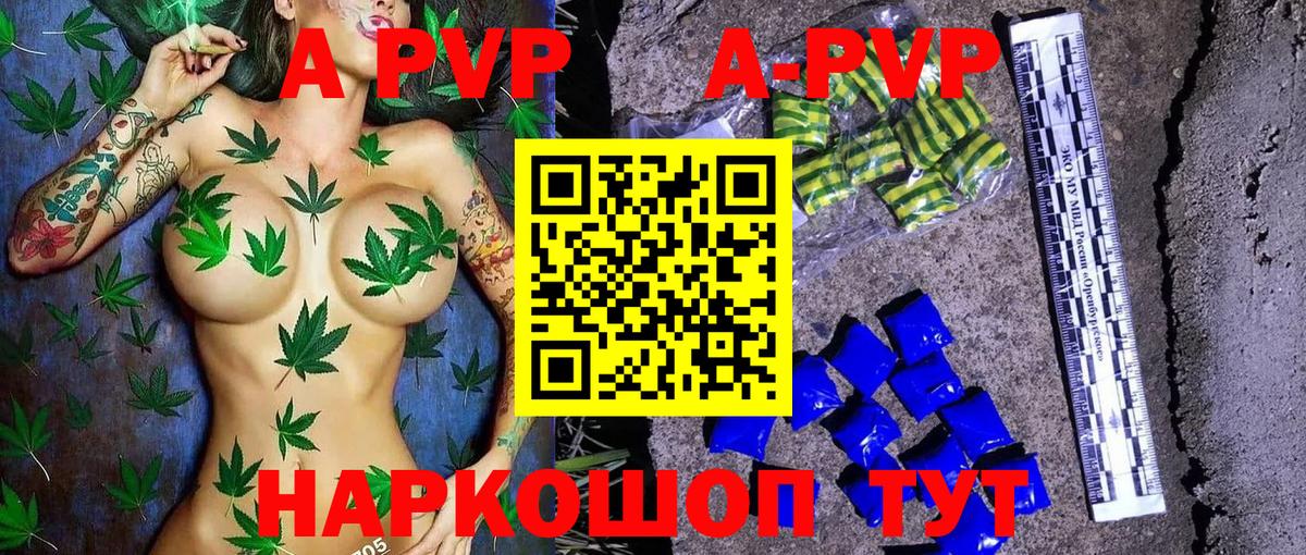 Альфа ПВП СК Обь