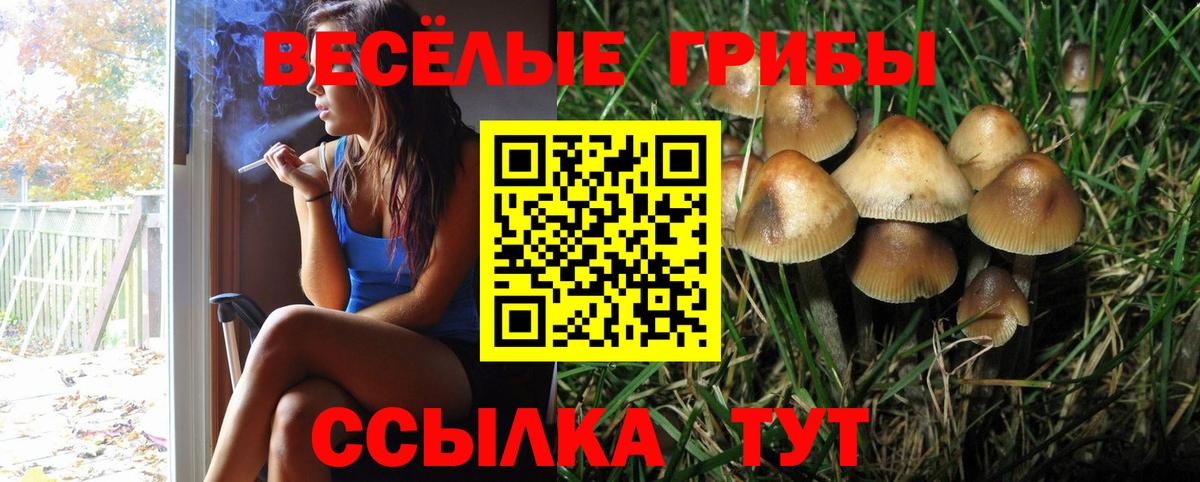 Галлюциногенные грибы MAGIC MUSHROOMS Обь